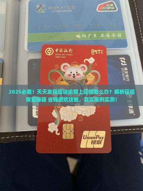 天天发短信说逾期上征信怎么办