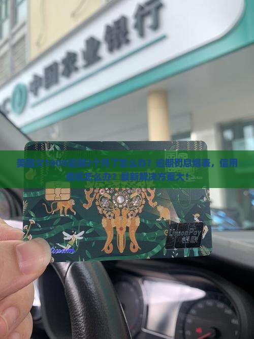 美团欠1000逾期2个月如何处理