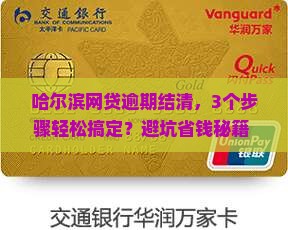 哈尔滨网贷逾期结清协商详解