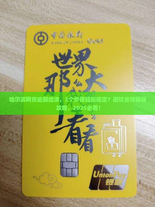 哈尔滨网贷逾期结清协商详解