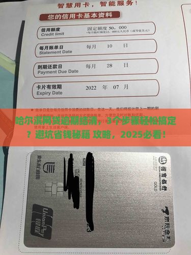 哈尔滨网贷逾期结清协商详解