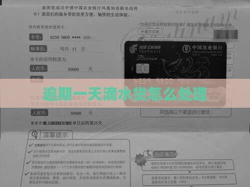 滴水贷逾期一天就催收如何处理