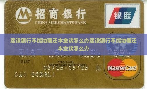 建设银行不能协商还本金该怎么办