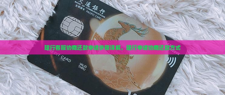 建行客服协商还款申请步骤详解