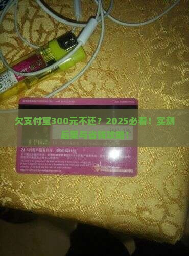 欠支付宝300元不还会怎样