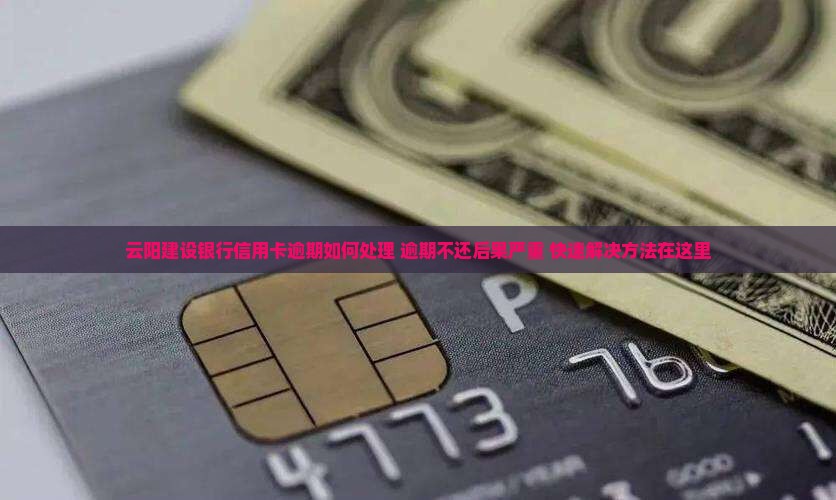 云阳建设银行信用卡逾期如何处理