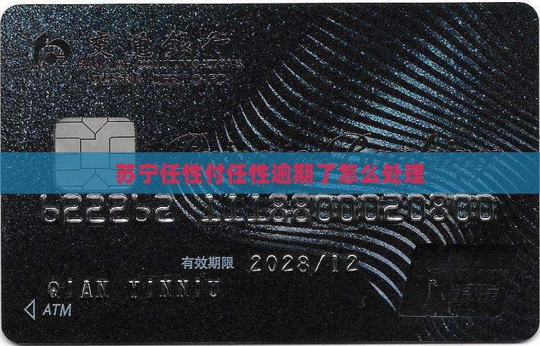 最新苏宁任性付逾期怎么办