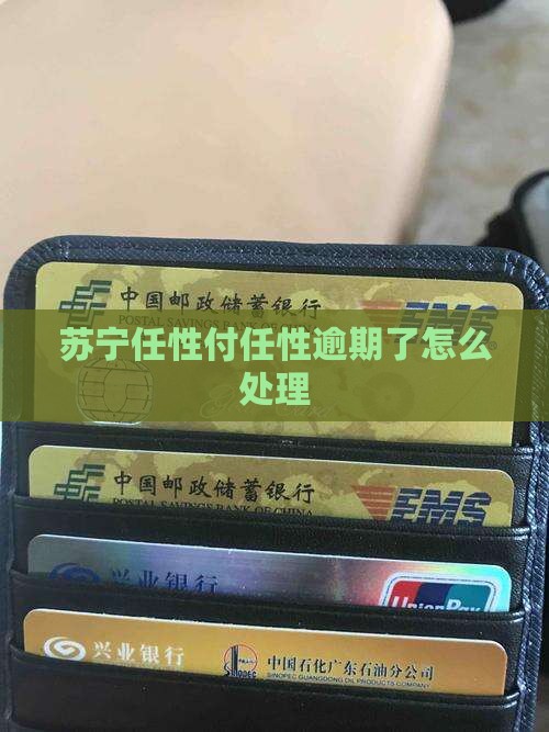 最新苏宁任性付逾期怎么办