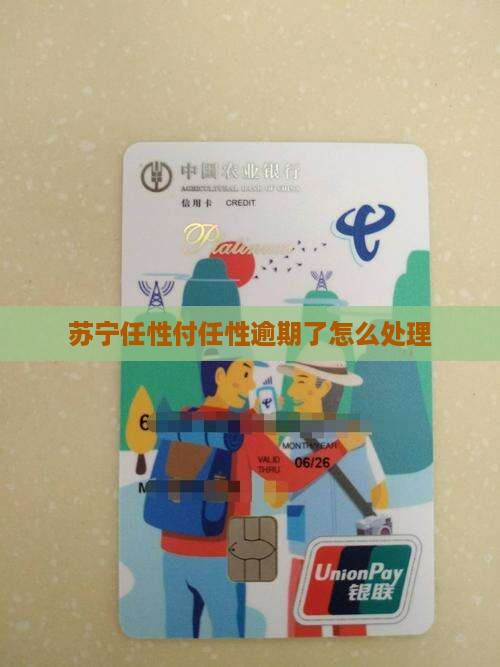 最新苏宁任性付逾期怎么办