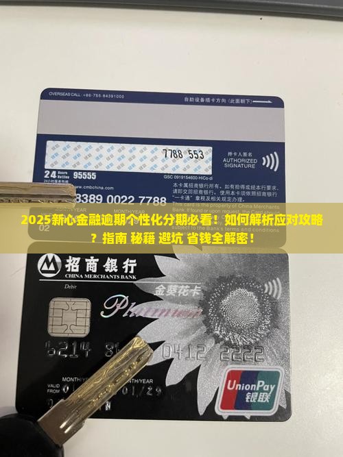 新心金融逾期个性化分期应对攻略