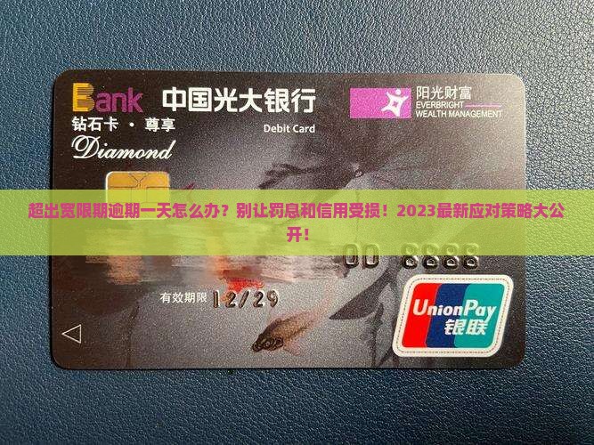 超出宽限期逾期一天