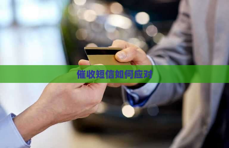 摇钱花催收短信如何处理