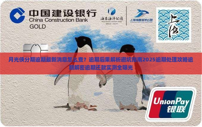 月光侠分期逾期最新消息怎么查询