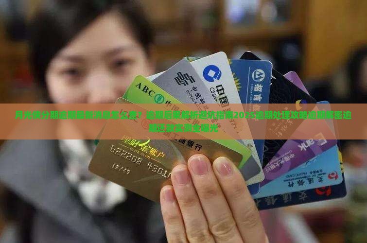 月光侠分期逾期最新消息怎么查询