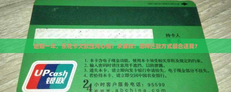 乐花卡逾期一年了怎么办还款方法有哪些
