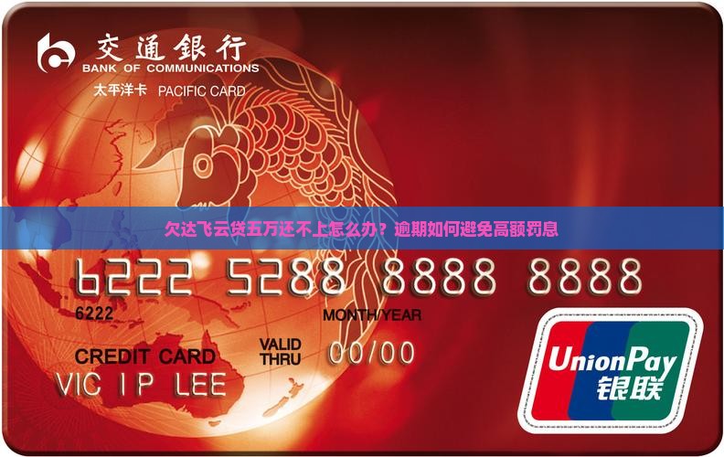 欠达飞云贷五万怎么办