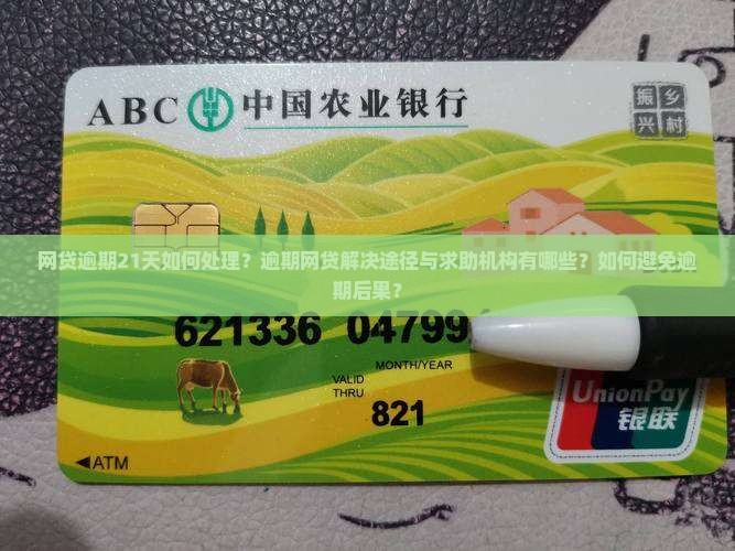 网贷逾期21天怎么办应该向哪里求助