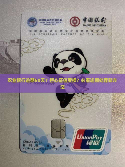 农业银行逾期60月