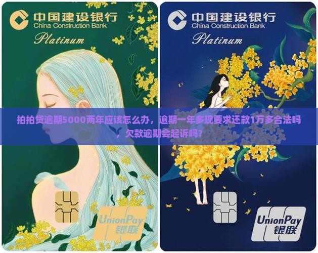 拍拍贷逾期5000两年应该怎么办