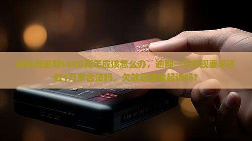 拍拍贷逾期5000两年应该怎么办