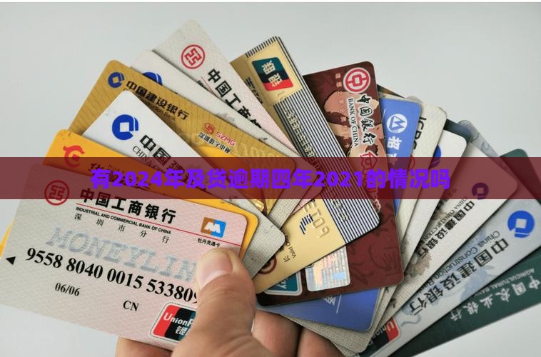 有2024年及贷逾期的吗