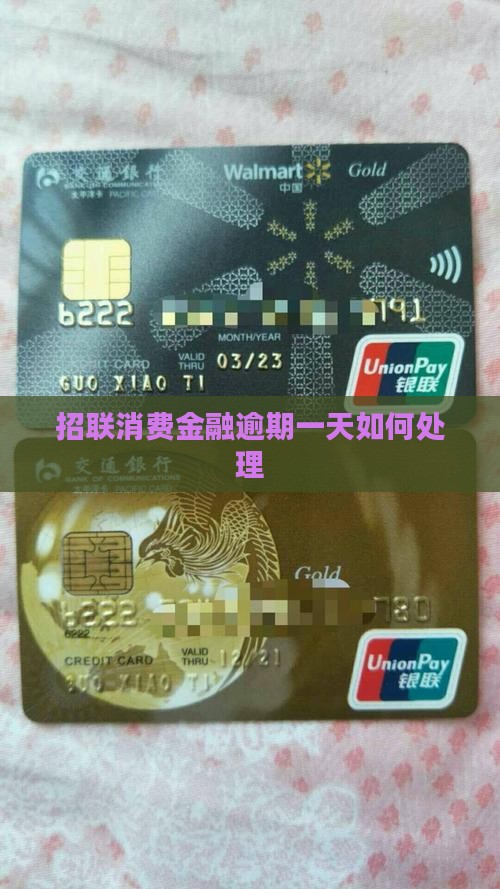 招联消费金融逾期一天如何处理