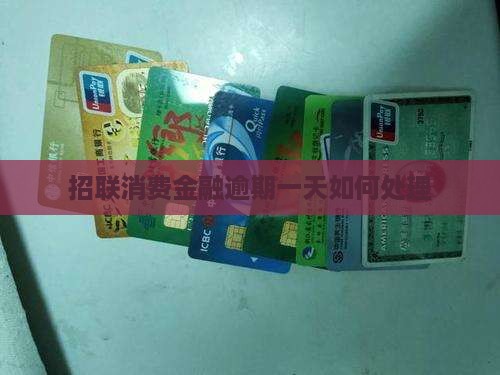 招联消费金融逾期一天如何处理