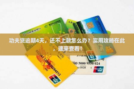功夫贷逾期4天需要怎么处理