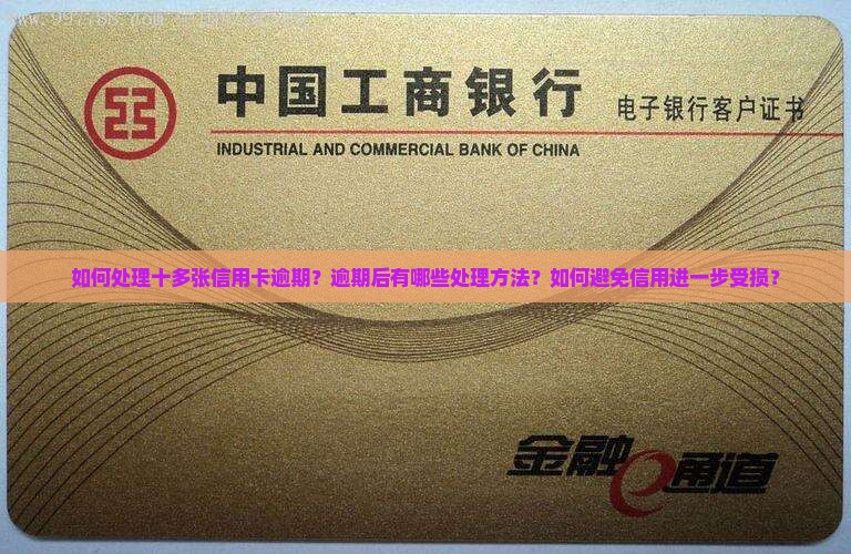 十多张信用卡逾期处理方法大揭秘 十多张信用卡逾期处理方法大揭秘