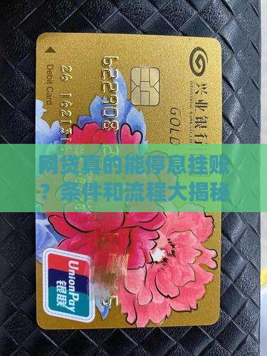 网贷同意停息挂账的条件和流程
