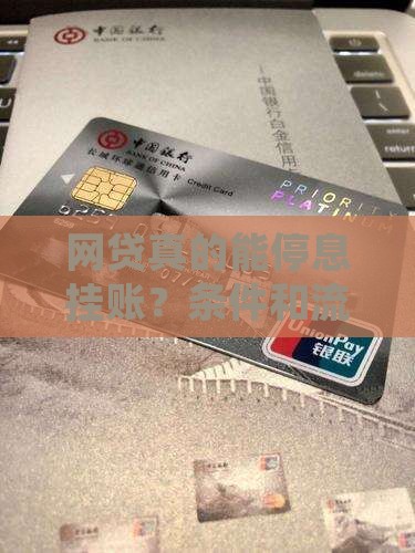 网贷同意停息挂账的条件和流程