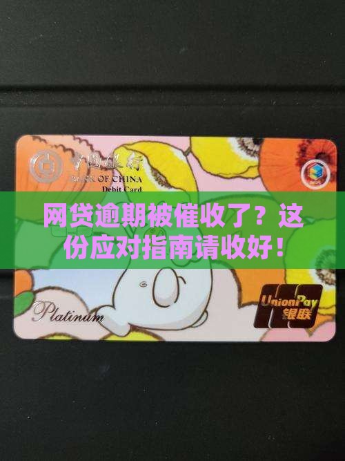 收到网贷逾期催收函应该如何处理