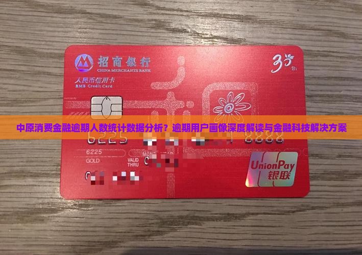 中原消费金融逾期人数统计数据分析