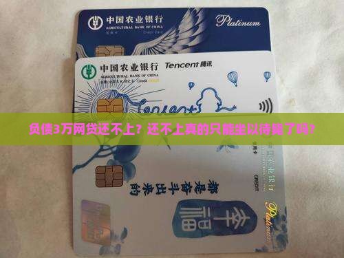 欠了几万网贷还不上怎么办