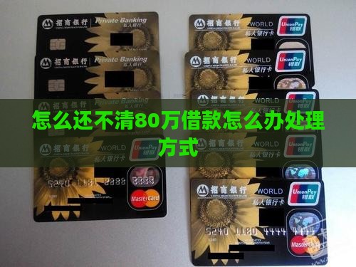 借款80万还不起怎么办处理方式