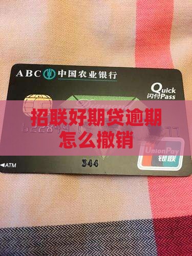 招联好期贷逾期撤销