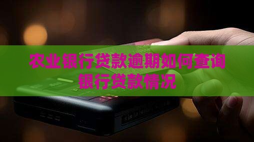 农业银行贷款逾期查询如何进行