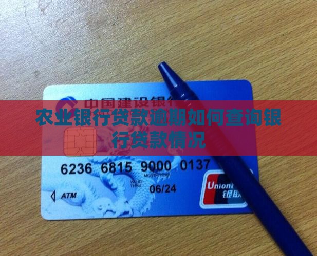 农业银行贷款逾期查询如何进行