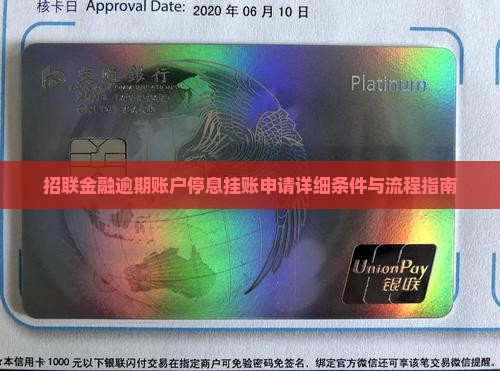 招联金融停息挂账申请条件及流程详解