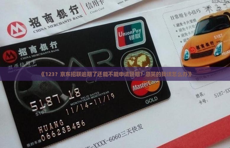 京东招联逾期怎么办理延期还款及其注意事项