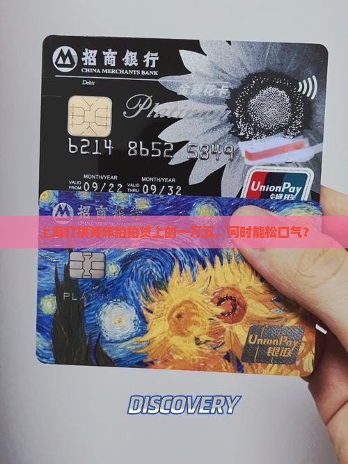 上海拍拍贷欠了一万五