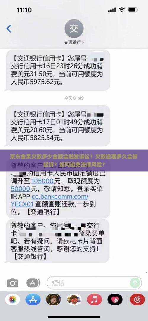 京东金条欠多少会上诉