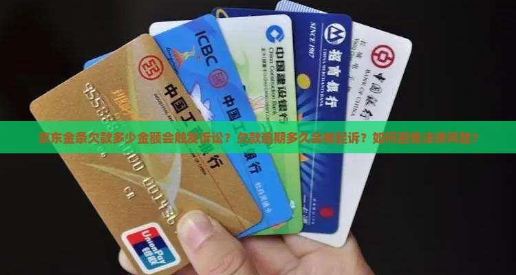 京东金条欠多少会上诉