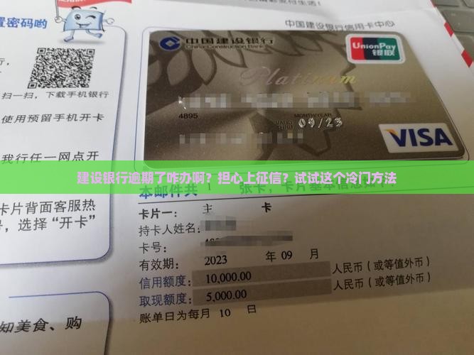 建设银行逾期了咋办啊