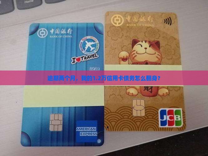 信用卡1万2逾期2个月如何解决