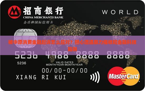 被中原消费金融起诉怎么应对借款纠纷 被中原消费金融起诉怎么应对借款纠纷