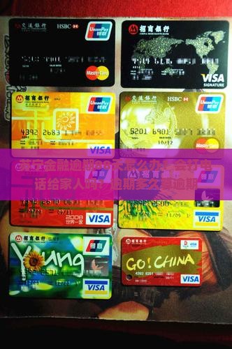 苏宁金融逾期88天
