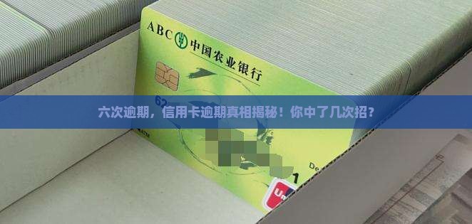 信用卡逾期六次以上及相关问题解答