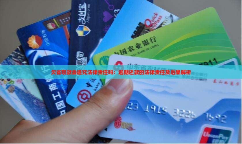 欠省呗款会追究法律责任吗