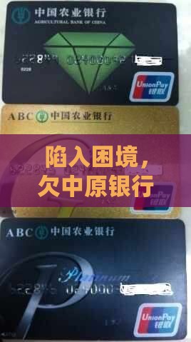 欠中原银行钱还不起怎么办